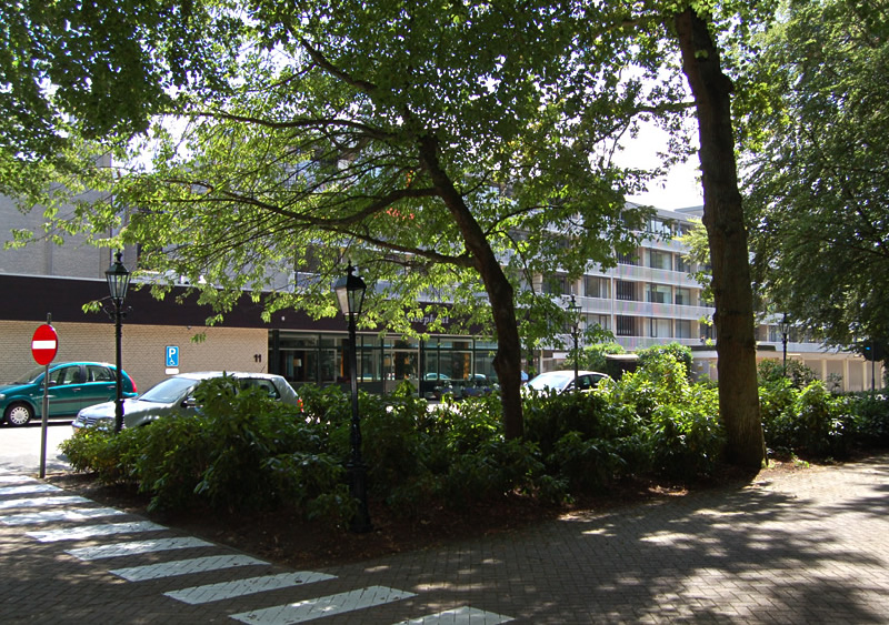 Image 10