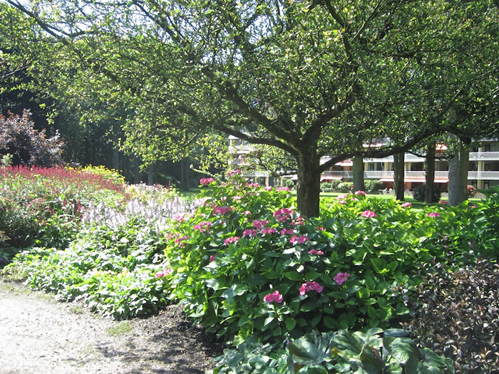 Image 01