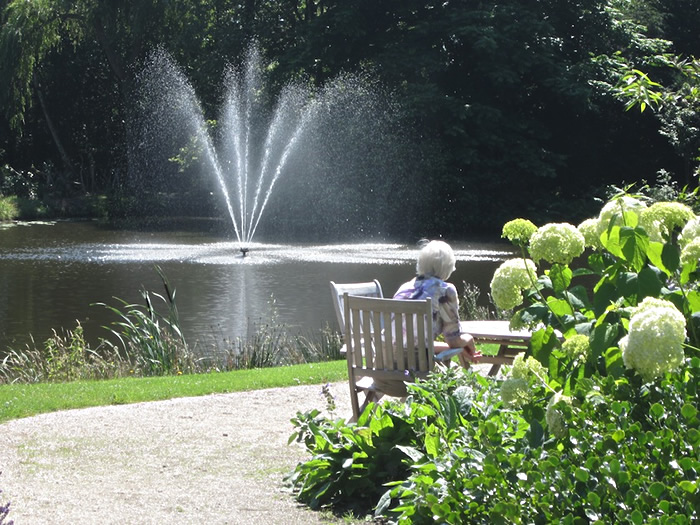 Image 06