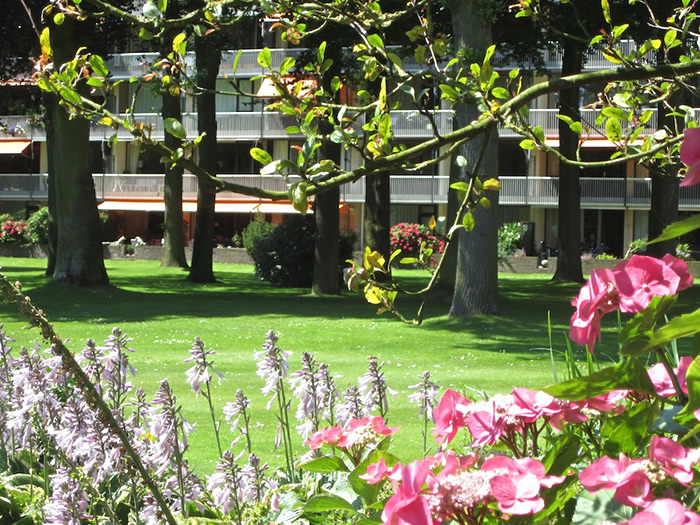 Image 02