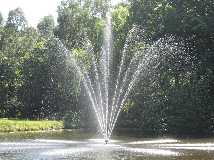 Image 04