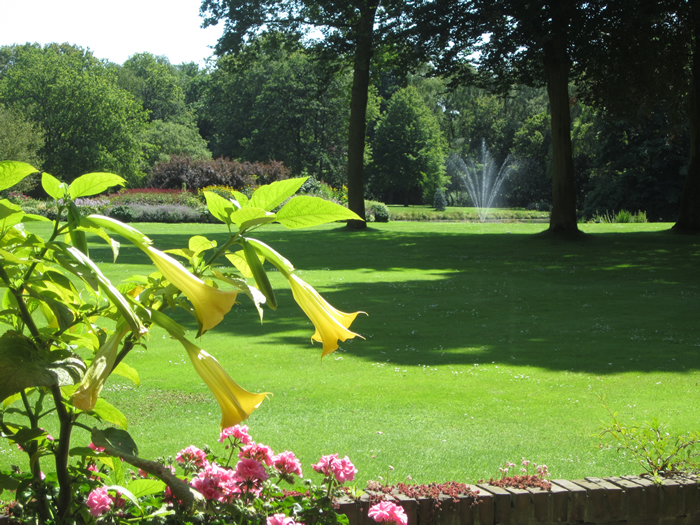 Image 07